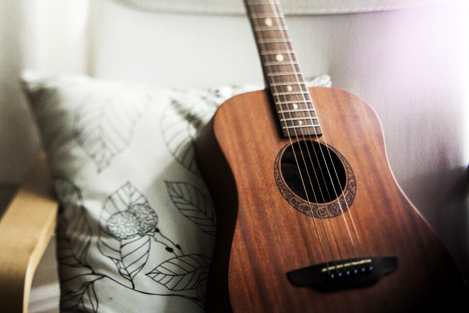 Musical instrument string instrument wood