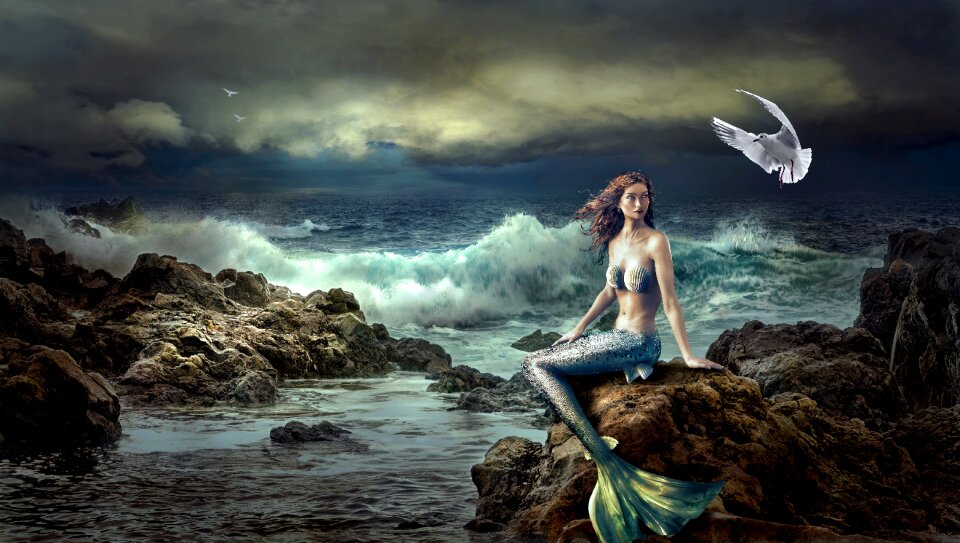 Nature sea beautiful