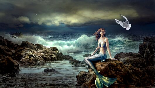 Nature sea beautiful