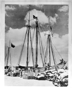Panama schoeners worden uitgeladen in de haven van Oranjestad, Bestanddeelnr 935-1227