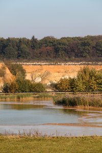 Panorama Kiesgrube bei Meckenheim-Lüftelberg (3) - Original 8