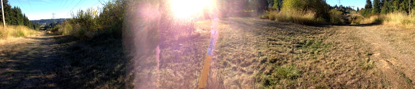Panorama from a hill