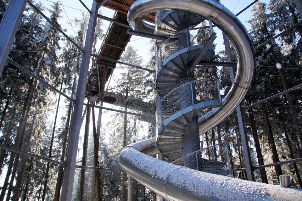 Lookout tower treetops