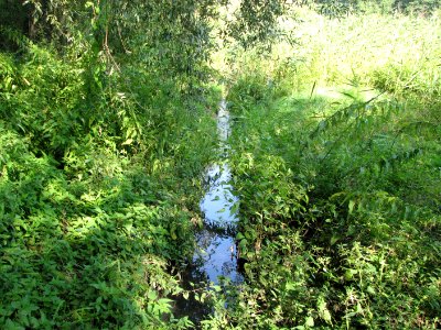 Panewniki on the river Klodnica 2011 12