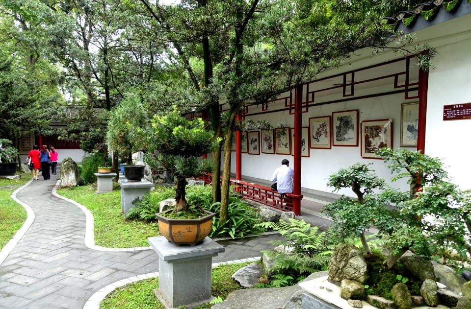 Paintings in the Bonsai collection - Baihuatan Park - Chengdu, China -DSC03837