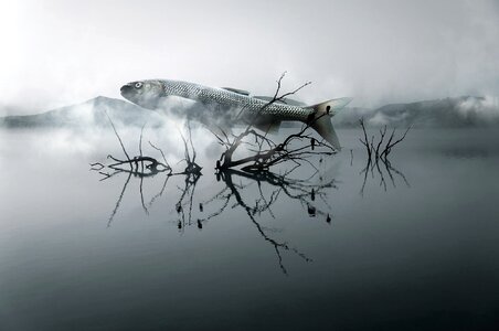 Cloud surreal dream