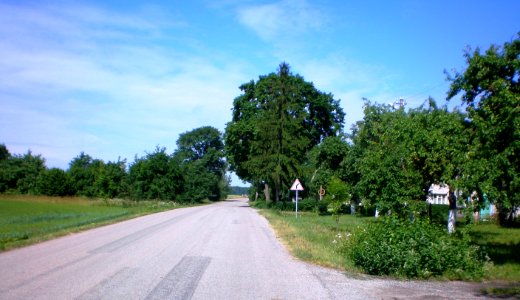 Pakruostė2