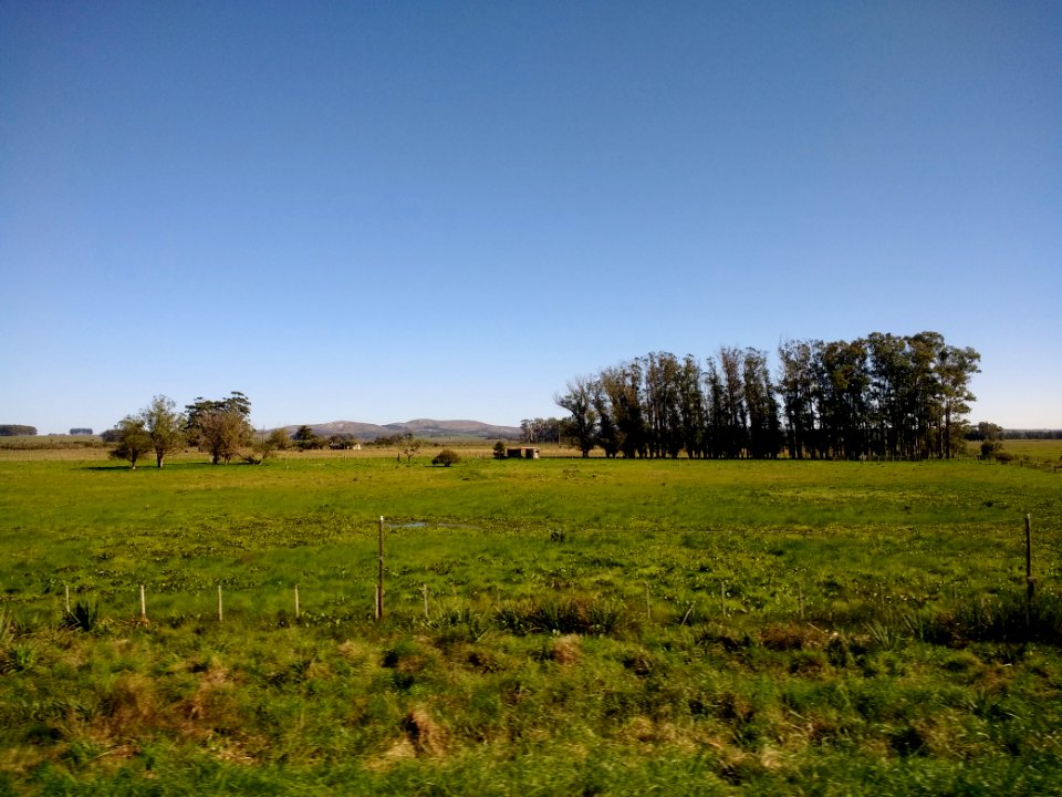 Paisaje del departamento de Rocha