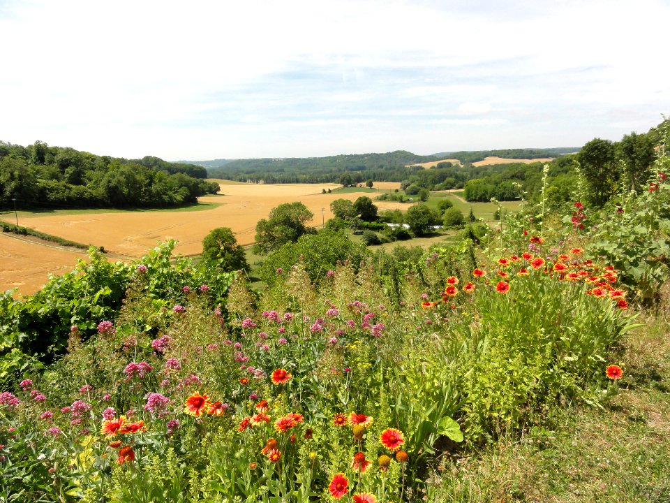 Paissy (Aisne) paysage