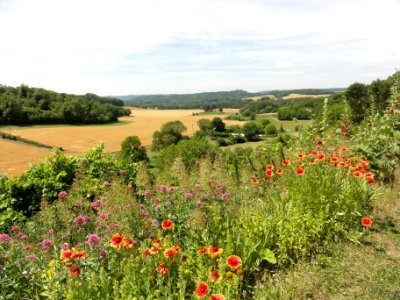 Paissy (Aisne) paysage