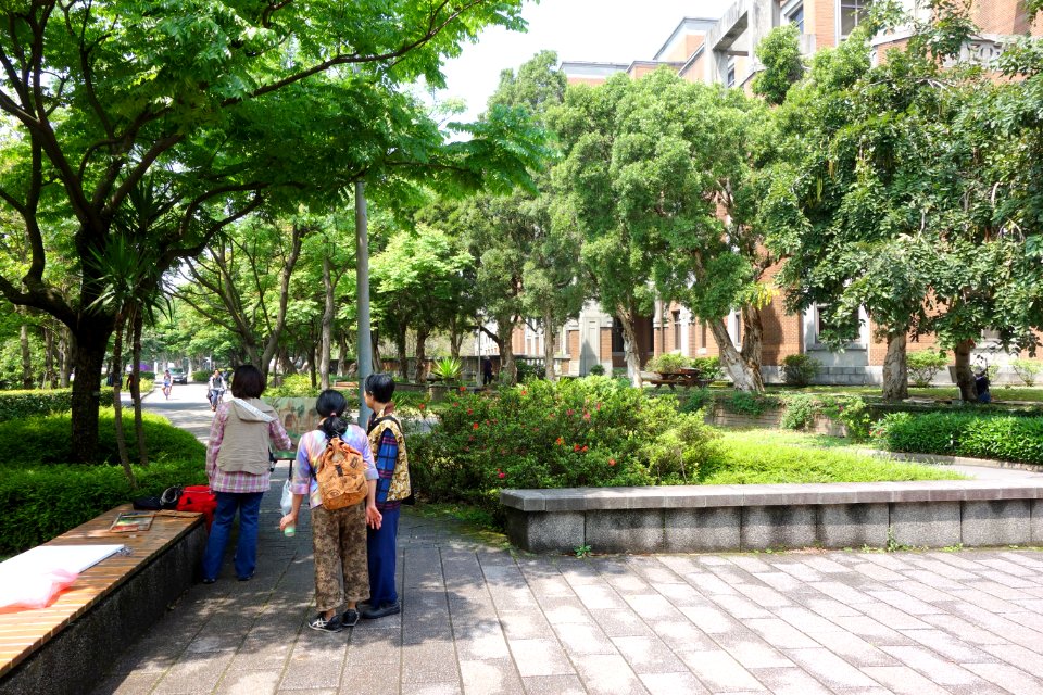 Painters on campus - National Taiwan University - DSC01084