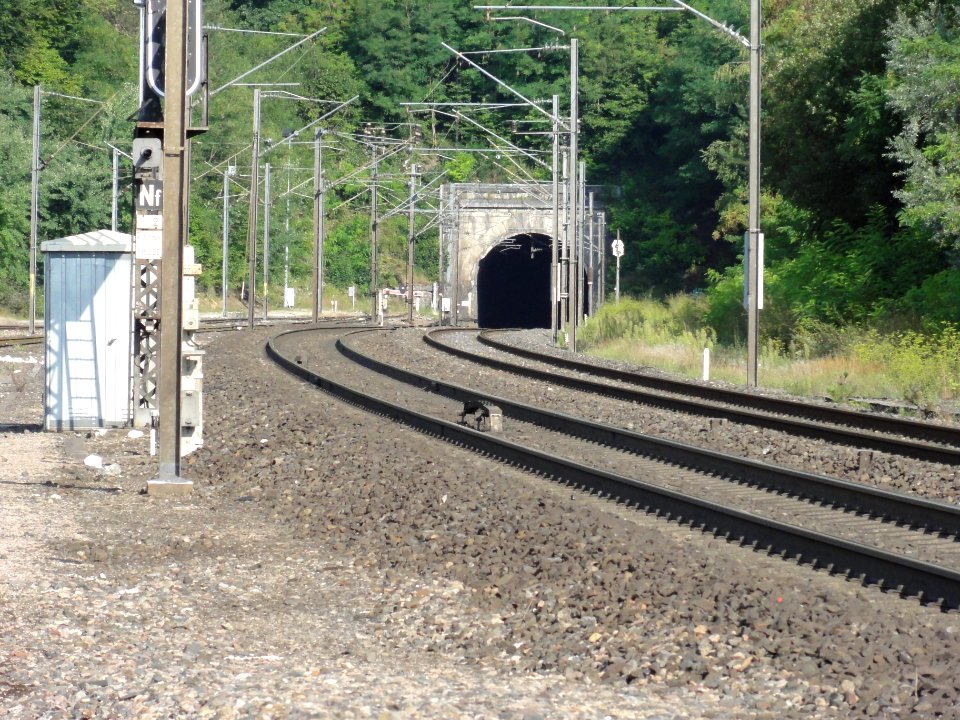 Pagny-sur-Meuse (Meuse) gare, entrée du tunnel CF