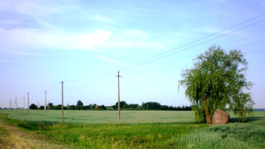 Pakruostėlė1