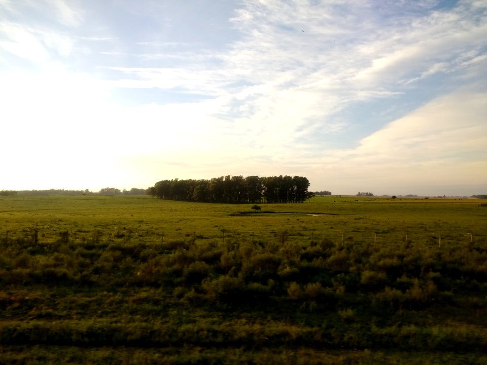 Paisaje del departamento de Flores