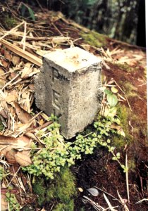Pahang-Perak Boundary Stone Camerons