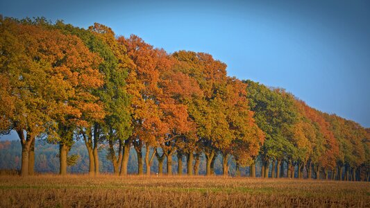 Fall color season farbenpracht