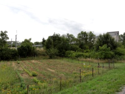 Pagny-sur-Meuse (Meuse) carrière du Revoi (03)