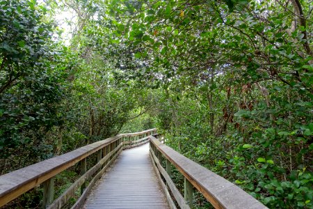 Pa-hay-okee Trail - Everglades National Park - DSC09435