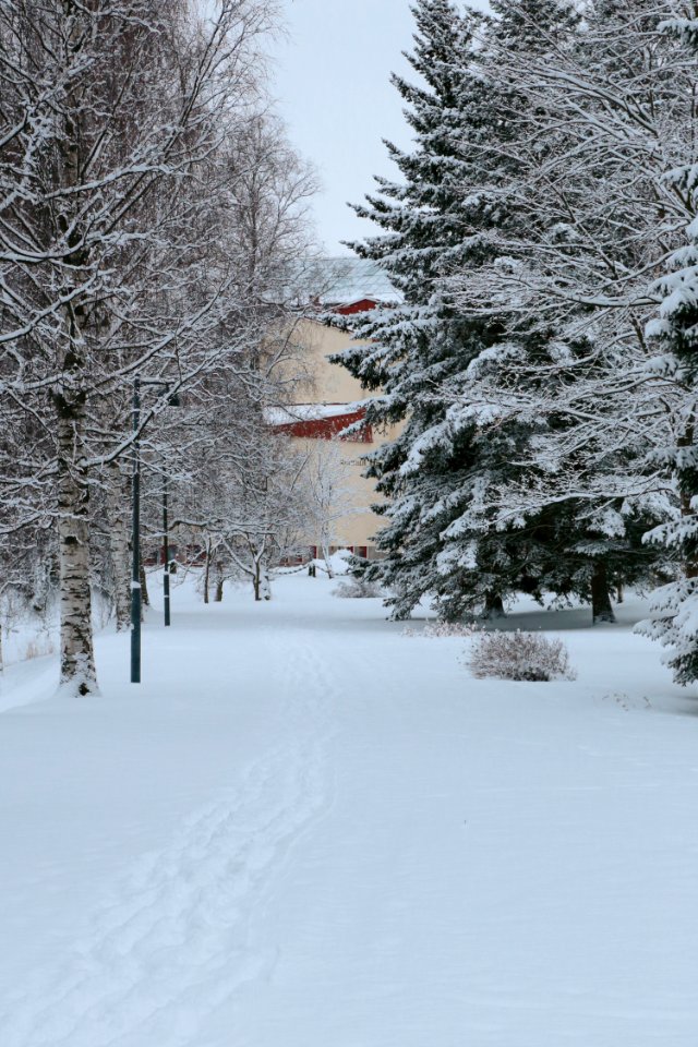 Pakolansaari Oulu 20210102 01