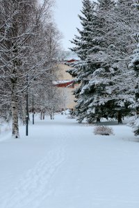 Pakolansaari Oulu 20210102 01