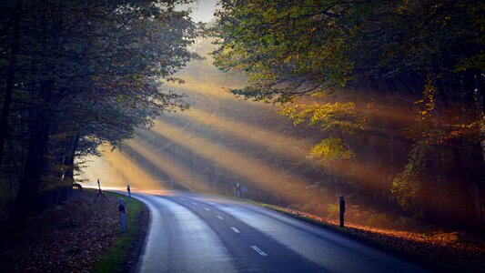 Road nature mood