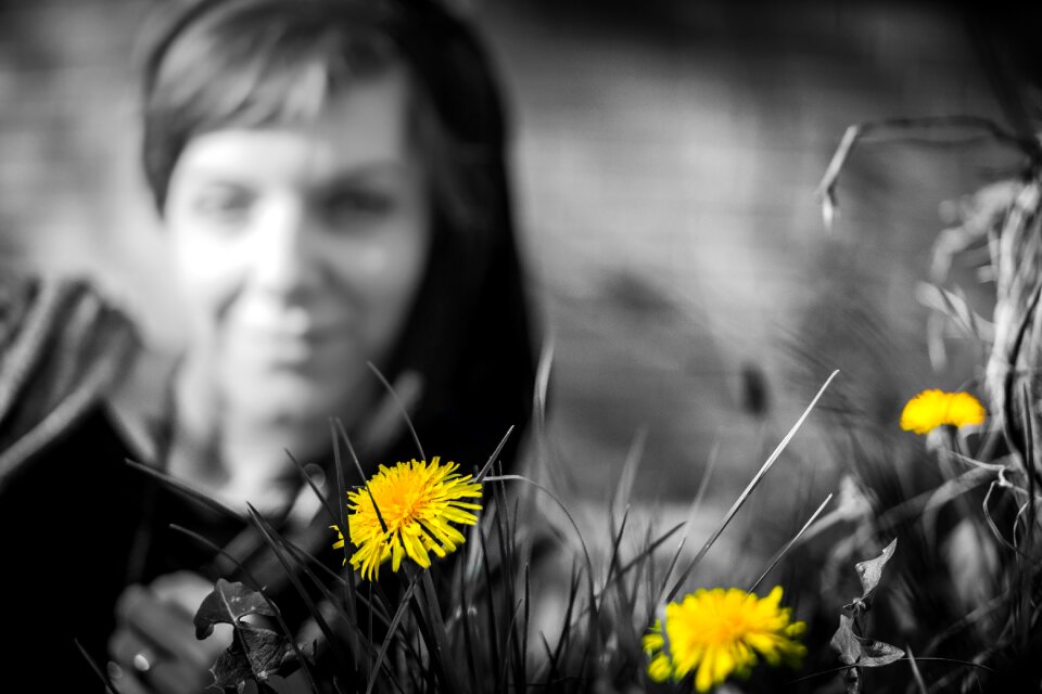 Flower view to watch