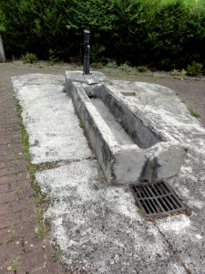 Pagny-sur-Meuse (Meuse) fontaine