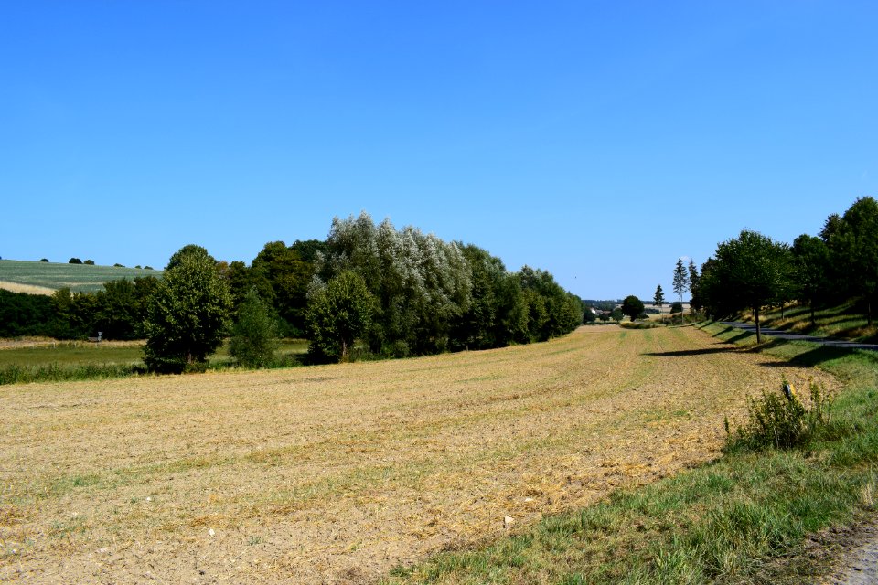 Paderborn - NSG Ellerbachtal - 2
