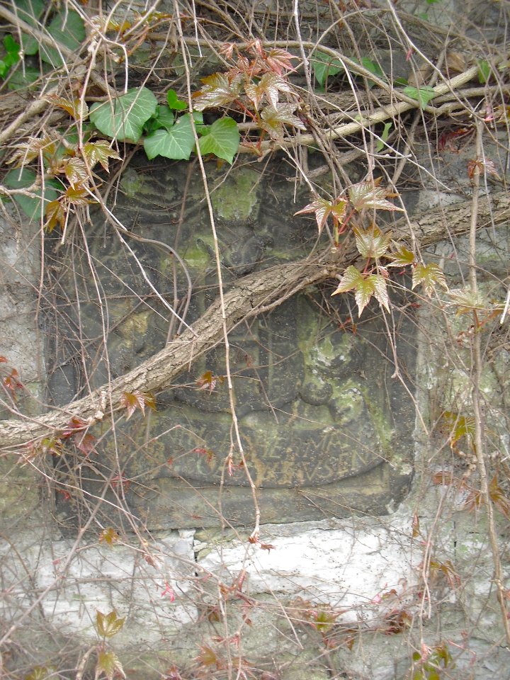 Paderborn-Spolie Jesuitenmauer-2