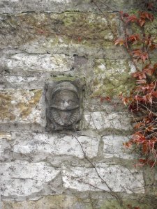 Paderborn-Spolie Jesuitenmauer-1