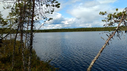 Pahkalampi Utajärvi