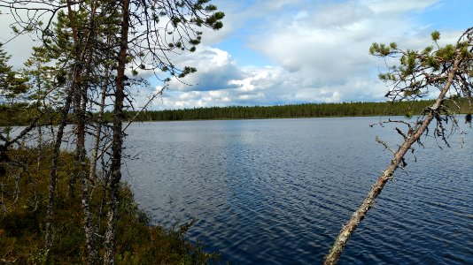 Pahkalampi Utajärvi photo