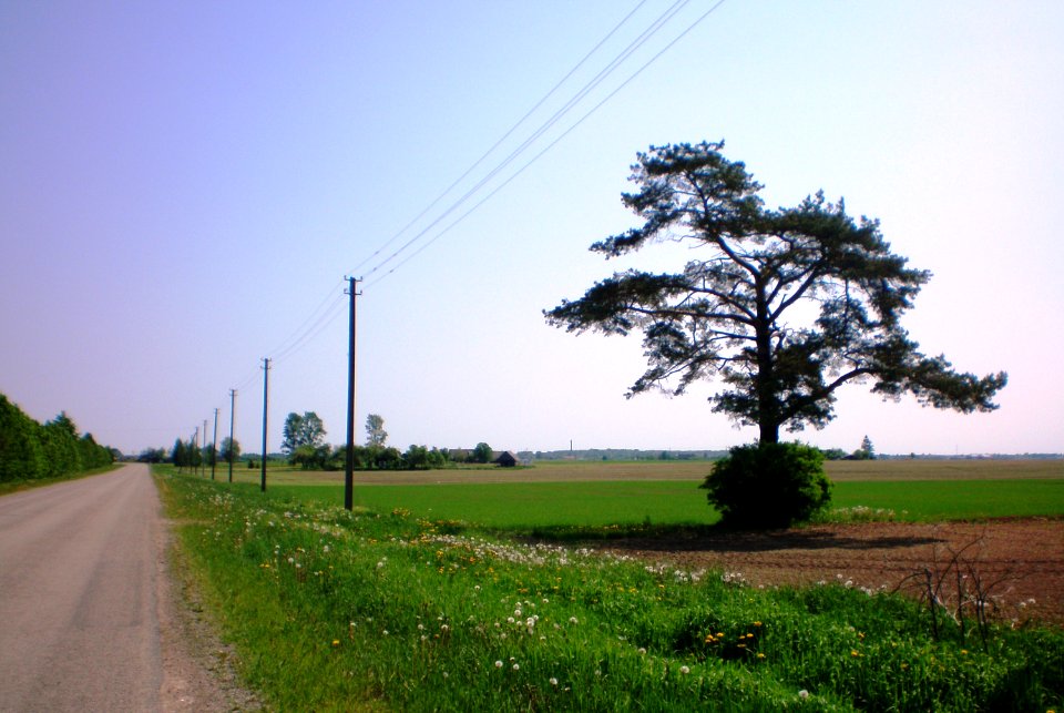 Padotnuvys1