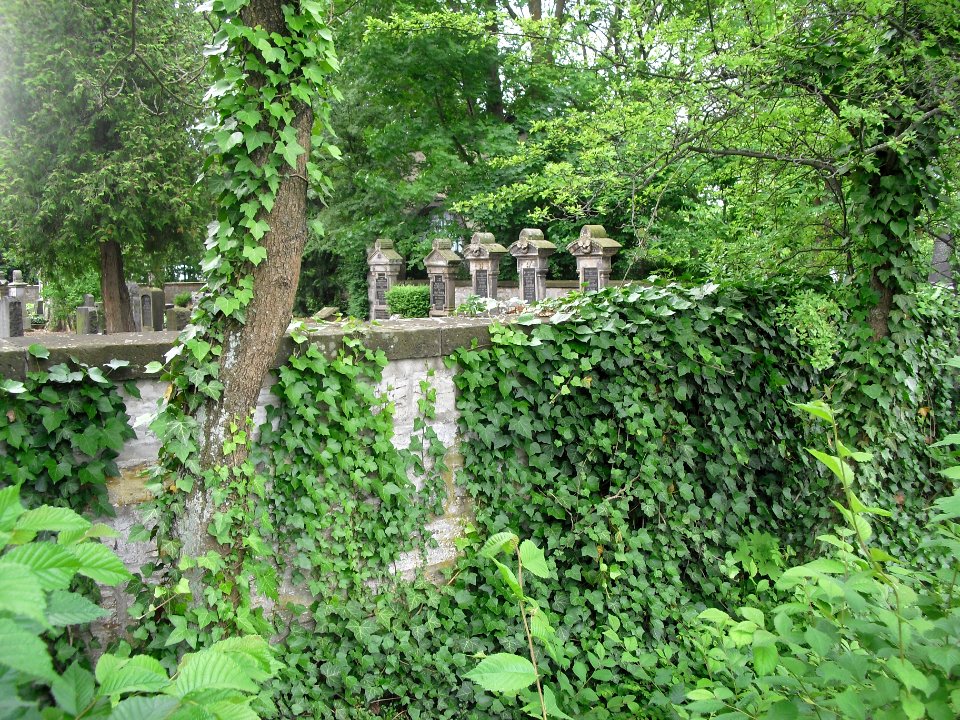 Paderborn-Juedischer Friedhof
