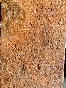 Padma Brahma Temple, Navabrahma group, Alampur, Telangana - 10
