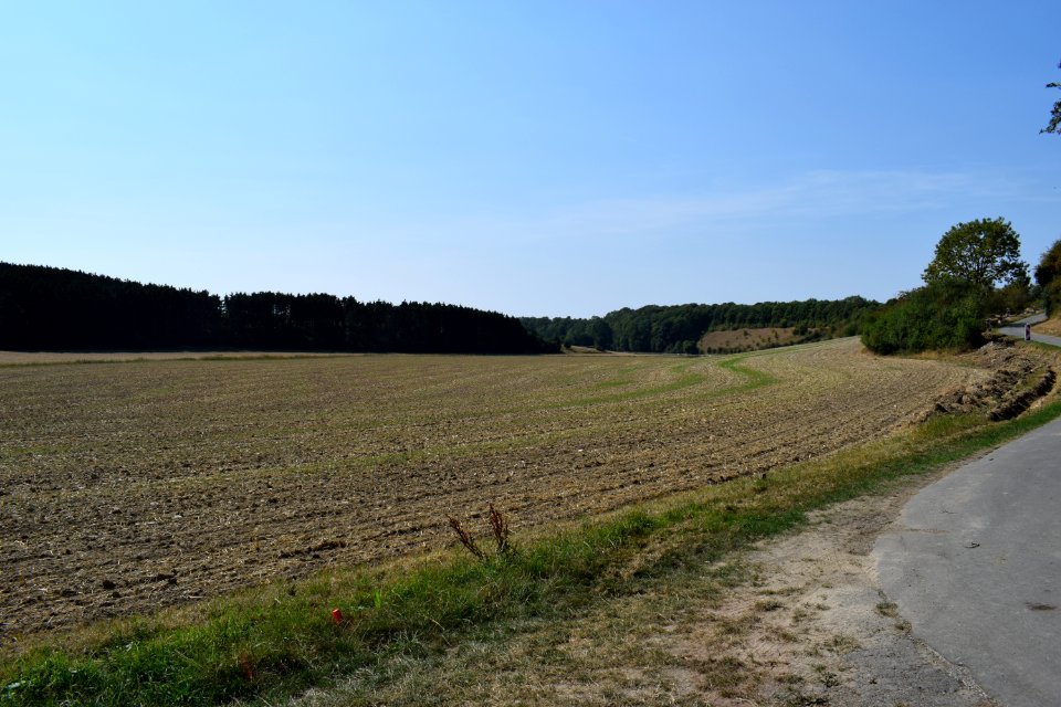Paderborn - NSG Ellerbachtal - 5