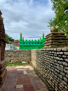 Padma Brahma Temple, Navabrahma group, Alampur, Telangana - 47