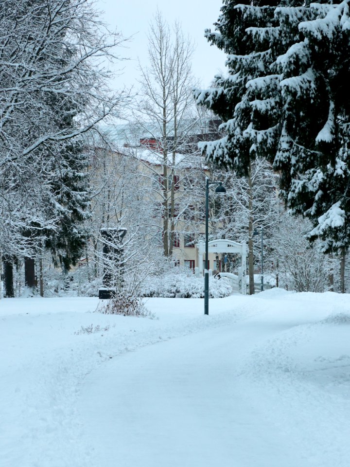 Pakolansaari Oulu 20210102 02