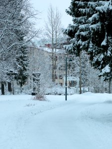 Pakolansaari Oulu 20210102 02