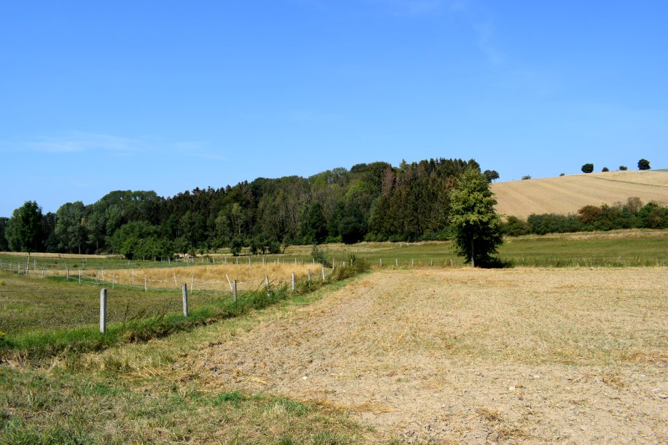 Paderborn - NSG Ellerbachtal - 3