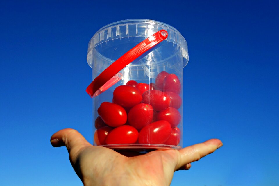 Tomatoes food nutrition