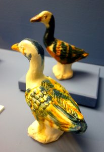 Pair of ducks, China, Tang dynasty, 8th century AD, Henan or Shaanxi ware, ceramic - Fitchburg Art Museum - DSC08714