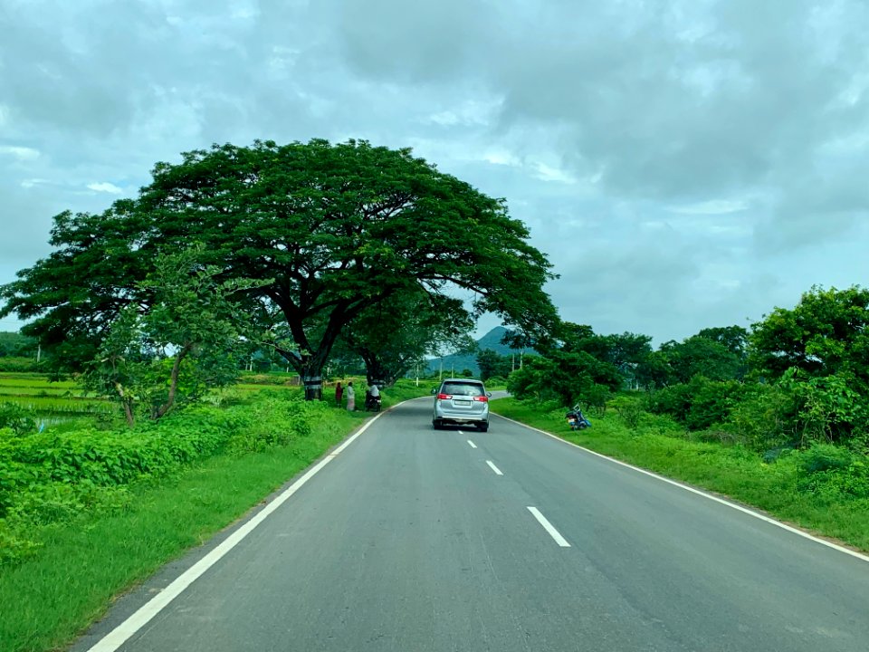 Palampet village and nearby farmlands, Telangana India - 1