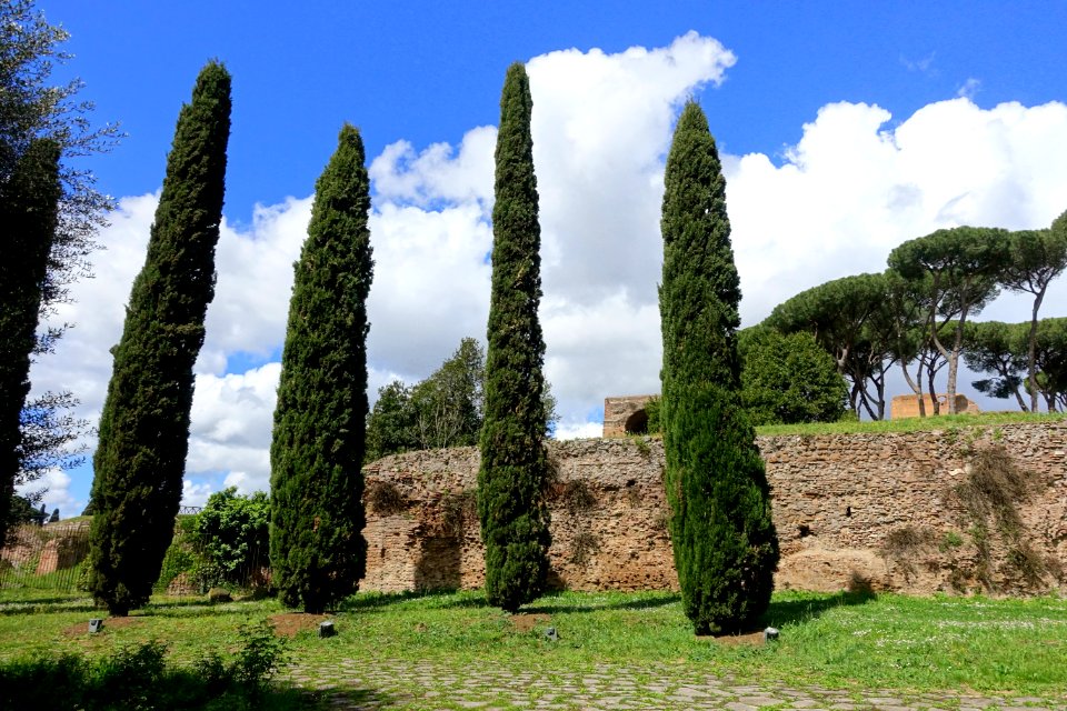 Palatine Hill from the Via di San Gregorio - Rome, Italy - DSC01357