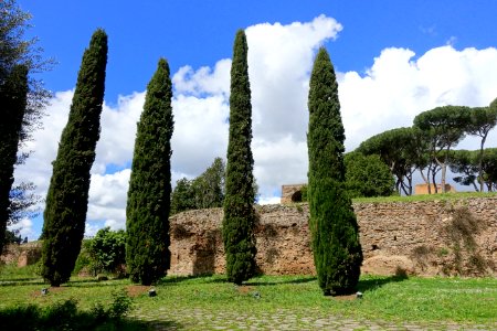 Palatine Hill from the Via di San Gregorio - Rome, Italy - DSC01357