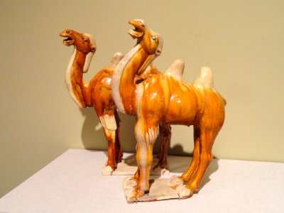 Pair of Camels, Tang Dynasty, China, clay with lead glazes - Mount Holyoke College Art Museum - DSC04559