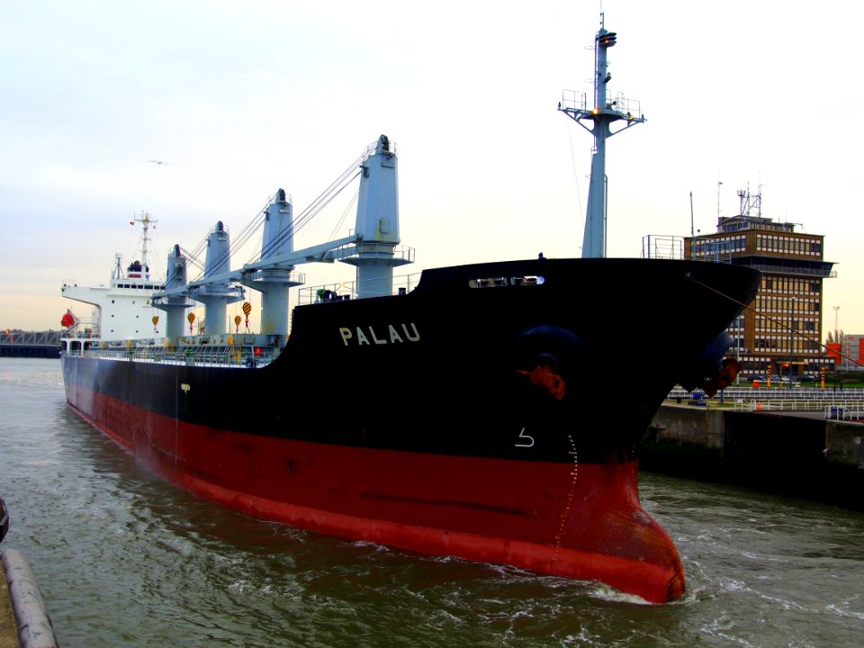 Palau (ship, 2003), IMO 9261035, Zandvlietsluis, Port of Antwerp pic3