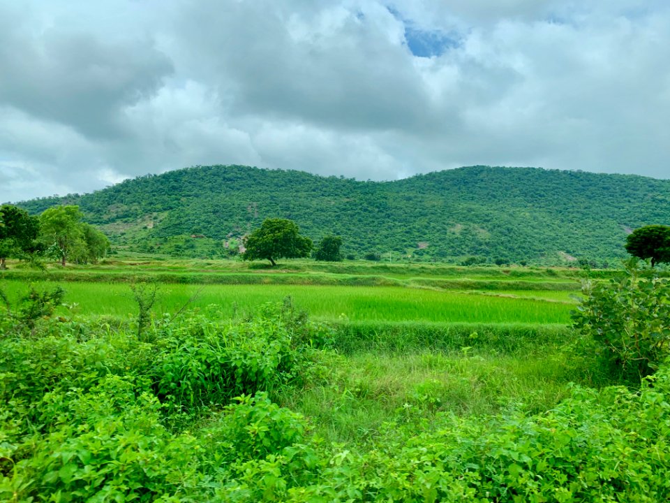 Palampet village and nearby farmlands, Telangana India - 3