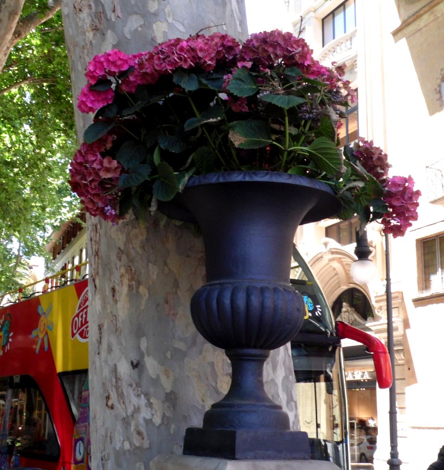 PALMA de MALLORCA, AB-060