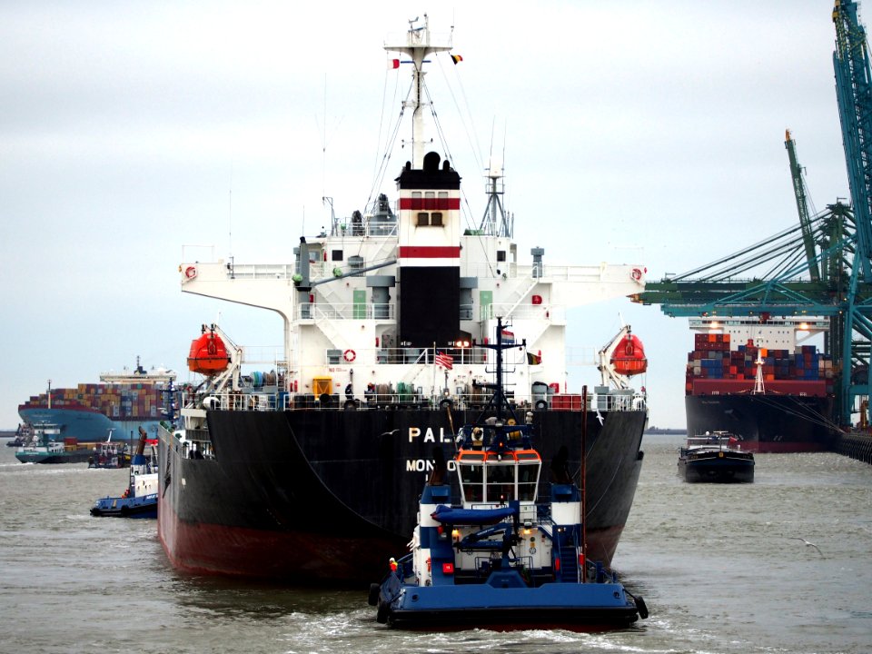 Palau (ship, 2003), IMO 9261035, Zandvlietsluis, Port of Antwerp pic8